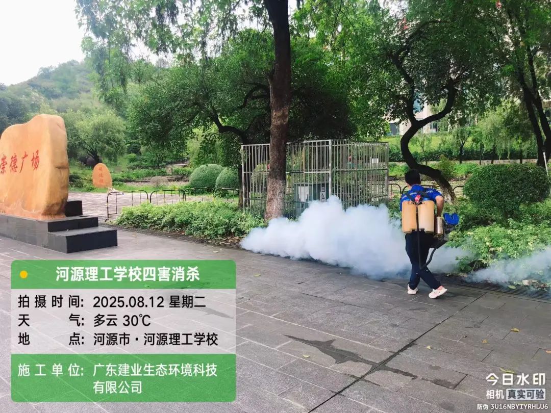 1756632784509769.jpg 4.jpg