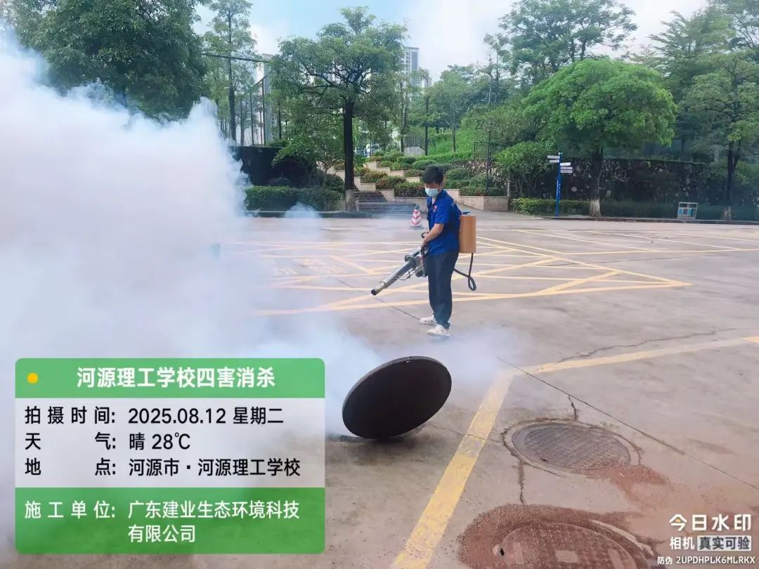 1756632795699701.jpg 5.jpg