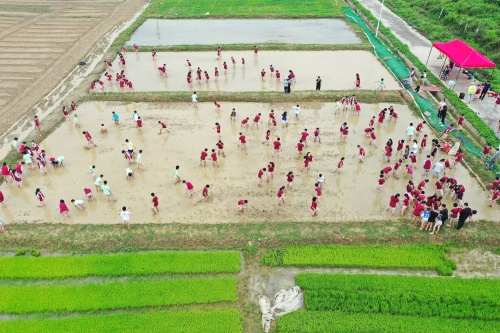 项目孵化-双头村耕育田园乡村振兴文旅基地项目3