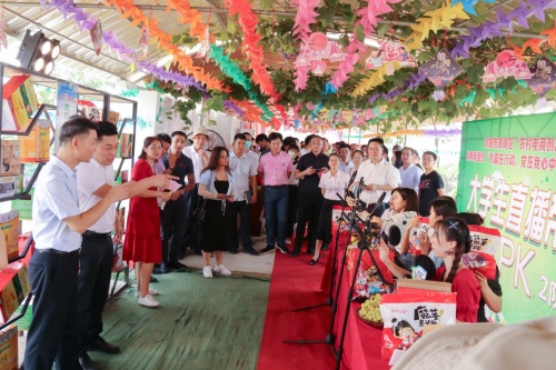 项目孵化-双头村水果博览园葡萄采摘短视频+直播带货2